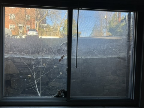 Residential window glass repair and replacement in Montgomery County MD